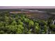 Breathtaking aerial of homes surrounded by mature trees and a winding river at 506 Fairington Dr, Summerville, SC 29485