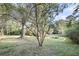 Spacious backyard featuring mature tree with a firepit and seating area at 506 Fairington Dr, Summerville, SC 29485