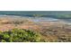 Scenic marshland with winding waterway, lush vegetation, and distant trees creating a peaceful landscape at 506 Fairington Dr, Summerville, SC 29485