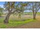 Scenic backyard featuring a serene marsh view framed by mature trees, offering a tranquil natural setting at 1816 Orangeburg St, North Charleston, SC 29405
