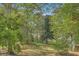Lush backyard with mature trees, providing a private and serene outdoor space for relaxation and recreation at 1816 Orangeburg St, North Charleston, SC 29405