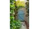 Enchanting blue garden door surrounded by lush greenery at 21 Rutledge Ave, Charleston, SC 29401