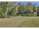 Scenic golf course view with lush green fairways and mature trees at 4217 Sawgrass Dr, Charleston, SC 29420