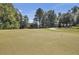 Beautiful golf course with well-maintained greens and scenic cart path at 4217 Sawgrass Dr, Charleston, SC 29420