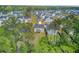 Scenic aerial perspective of a residential area surrounded by mature trees and greenery at 86 Red Bluff St, Summerville, SC 29483