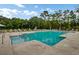 Relaxing community pool with lounge chairs and umbrellas on the pool deck surrounded by lush greenery at 86 Red Bluff St, Summerville, SC 29483