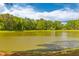 Scenic view of a pond surrounded by lush greenery and trees, with a clear blue sky overhead at 8961 N Red Maple Cir, Summerville, SC 29485