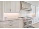 Gourmet kitchen with stainless steel Wolf range, custom cabinetry, and sleek countertops at 9 Marsh Island Ln, Isle of Palms, SC 29451