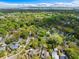 Aerial shot showcasing lush green trees surrounding a quiet neighborhood with various rooftops at 1 Colleton Dr, Charleston, SC 29407
