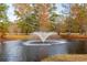 Beautiful pond featuring a fountain, surrounded by vibrant fall foliage and mature trees at 1068 Witherbee Rd, Moncks Corner, SC 29461