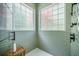 Modern shower with green tile and block glass windows offering natural light at 118 Elery Ter, Summerville, SC 29485