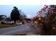 Picturesque suburban street view shows blooming trees, houses, cars and a full moon at 148 Jupiter Ln, Summerville, SC 29483