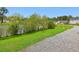 Picturesque community pond featuring trees and foliage, accessible via a gravel path at 161 Brittondale Rd, Summerville, SC 29485