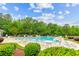 Beautiful community pool with ample seating, surrounded by lush landscaping and towering trees at 161 Brittondale Rd, Summerville, SC 29485