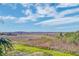Picturesque marsh view from the property, creating a tranquil and scenic backdrop, with green lawn at 165 River Breeze Dr, Charleston, SC 29407