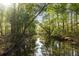Scenic view of a calm creek surrounded by lush green trees at 2885 Plow Ground Rd, Johns Island, SC 29455