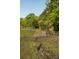 Lush marsh landscape showcases the natural surroundings of the property, with mature trees and tall grasses at 2885 Plow Ground Rd, Johns Island, SC 29455