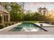 Backyard featuring a stunning in-ground pool, a concrete patio, and lush landscaping at 2885 Plow Ground Rd, Johns Island, SC 29455