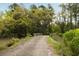 Picturesque gravel road leading to a wooden bridge, surrounded by dense trees and greenery at 2885 Plow Ground Rd, Johns Island, SC 29455