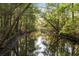 Beautiful waterfront scene with light filtering through the dense trees and reflecting off the smooth water at 2885 Plow Ground Rd, Johns Island, SC 29455