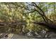 Scenic waterfront view with lush trees reflecting in the calm water and leading away from the dock at 2885 Plow Ground Rd, Johns Island, SC 29455