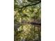 Calm river view with trees overhanging the water, showing the natural beauty of the property at 2885 Plow Ground Rd, Johns Island, SC 29455
