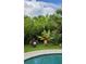 Tropical backyard featuring lush greenery and a pool at 711 Farm Cottage Ln, Charleston, SC 29412