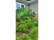 Beautiful landscaping featuring tropical elephant ear plants bordering the home's exterior at 711 Farm Cottage Ln, Charleston, SC 29412
