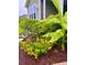 Landscaped home exterior features lush tropical foliage with colorful flowers at 711 Farm Cottage Ln, Charleston, SC 29412