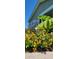 Eye-catching landscape with colorful flowers, lush banana plants, and a well-maintained lawn surrounding the house at 711 Farm Cottage Ln, Charleston, SC 29412