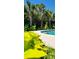 Backyard view features a pool, palm trees, and lush greenery creating a private oasis at 711 Farm Cottage Ln, Charleston, SC 29412
