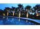 Inviting pool at dusk features palm trees and ambient lighting perfect for evening relaxation at 711 Farm Cottage Ln, Charleston, SC 29412