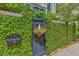 Private garden gate covered in lush greenery with a charming mailbox and floral basket accent at 95 Ashley Ave # D, Charleston, SC 29401