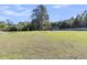 Expansive backyard with a shed, mature trees, and lush green grass at 106 Lakelyn Rd, Moncks Corner, SC 29461