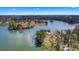 Expansive lakefront property featuring lush greenery, mature trees, and a charming waterside pavilion at 113 Sugarberry Way, Summerville, SC 29485