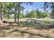 Scenic golf course view with rolling hills and mature trees, offering a serene and picturesque setting at 123 Dasharon Ln, Goose Creek, SC 29445