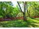 Serene backyard featuring a pond, a wooden fence, and mature trees at 1255 Horseshoe Bnd, Mount Pleasant, SC 29464