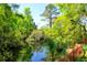 Picturesque pond view surrounded by lush greenery and mature trees at 1255 Horseshoe Bnd, Mount Pleasant, SC 29464