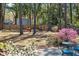 Expansive backyard with mature trees, a hammock, and a lush azalea bush at 1411 River Front Dr, Charleston, SC 29407