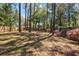 Spacious backyard with a hammock strung between trees, featuring azaleas at 1411 River Front Dr, Charleston, SC 29407
