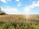 Scenic marsh view with native grasses, waterways, and blue skies filled with fluffy clouds at 17 8Th Ave # 17G, Charleston, SC 29403