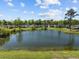Picturesque view of a calm pond surrounded by houses and lush greenery at 187 Brittondale Rd, Summerville, SC 29485
