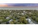 Aerial view showcasing the community homes nestled amongst the trees near the beach at 2 Wills Way, Isle of Palms, SC 29451