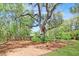 Large landscaped yard with mature trees, wooden fence, and a rope swing at 2111 Nicholas David Path, Johns Island, SC 29455