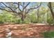 Spacious backyard featuring mature trees, walking path, storage shed, and manicured landscape at 2111 Nicholas David Path, Johns Island, SC 29455