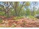 Tranquil backyard with mature trees, lush landscaping, and comfortable outdoor seating at 2111 Nicholas David Path, Johns Island, SC 29455