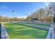 Outdoor bocce ball court surrounded by lush greenery at 2340 Salt Wind Way, Mount Pleasant, SC 29466