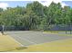 Well-lit tennis court with green surface and high fencing at 2340 Salt Wind Way, Mount Pleasant, SC 29466