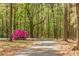 View down a tree-lined path with mature trees and a vibrant azalea bush at 3060 Bohicket Rd, Johns Island, SC 29455
