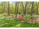 View of landscaped yard with mature trees and lush greenery at 3060 Bohicket Rd, Johns Island, SC 29455